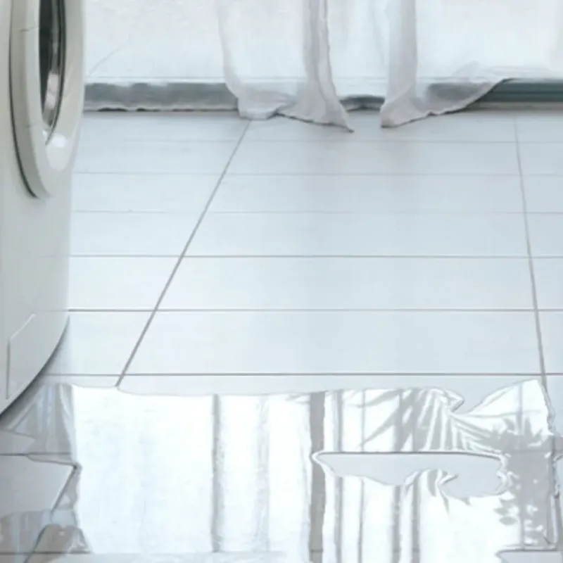 Appliance Leak Cleanup in Villano Beach, FL