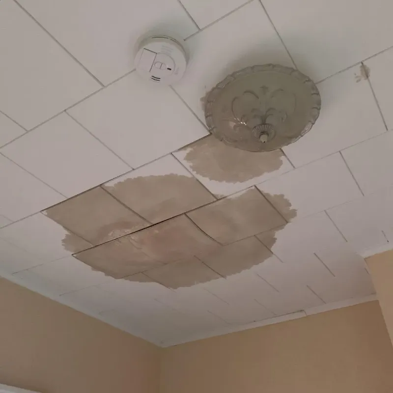 Ceiling Water Damage Repair in Villano Beach, FL